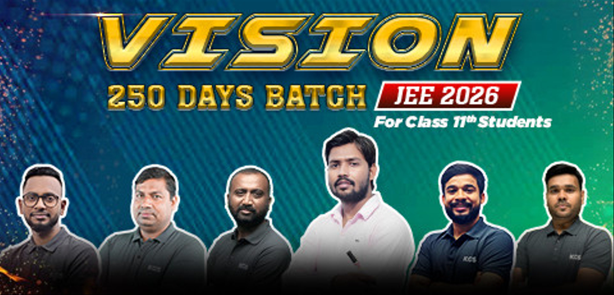 Class 11th Vision 250 Days Bilingual Batch JEE 2026