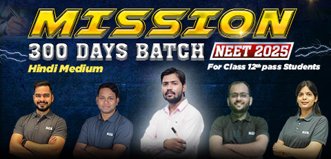 NEET 2025 Mission 300 Days Batch Hindi Medium
