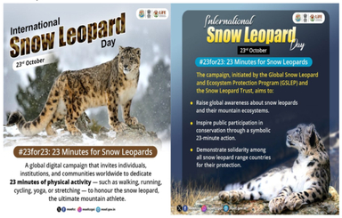 International Snow Leopard Day
