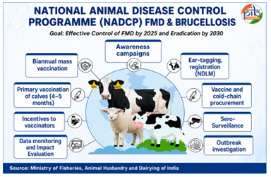 National Animal Disease Control Programme (NADCP)