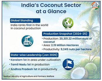 India Ranks First in Global Coconut Production
