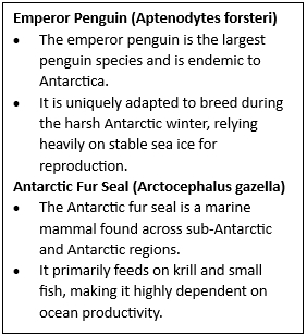 Emperor Penguins and Fur Seals now Endangered