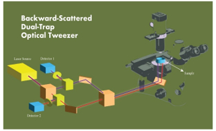India’s Novel Dual-Trap Optical Tweezer System