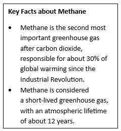 Global Methane Status Report 2025