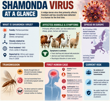 France Reports First Known Human Case of Shamonda Virus