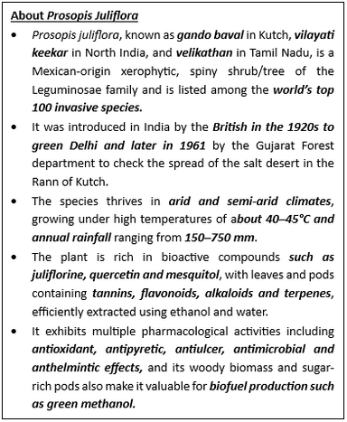 India's First Green Methanol Plant