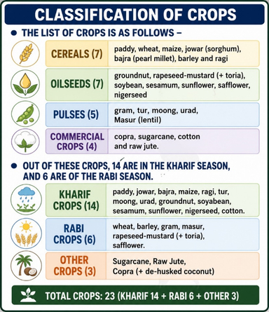 Cabinet approves Minimum Support Prices (MSP) for Rabi Crops for Marketing Season 2027-28