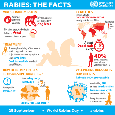 Bhutan Eliminates Dog-Transmitted Rabies as a Public Health Problem