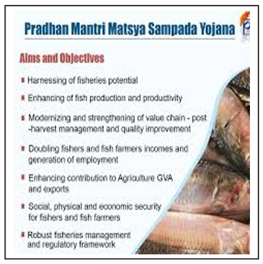 Five Years of Pradhan Mantri Matsya Sampada Yojana