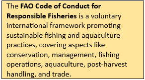 Marine Stewardship Council (MSC) Certification