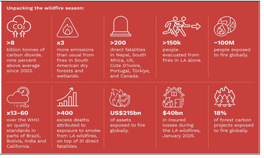 Global Analysis of Wildfires