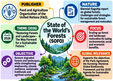 State of the World’s Forests 2026 Report
