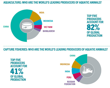 FAO’s State of World Fisheries and Aquaculture 2026 Report