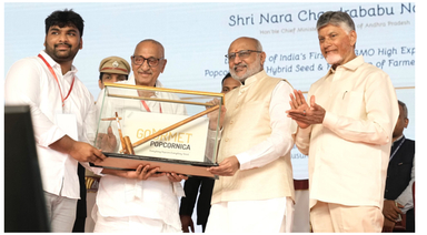 Bihar to Auction Copper–Lead–Zinc and Magnetite Blocks