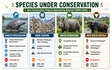 Governing Body of National CAMPA Approves New Conservation Projects