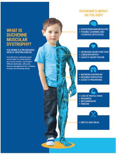 World Duchenne Awareness Day
