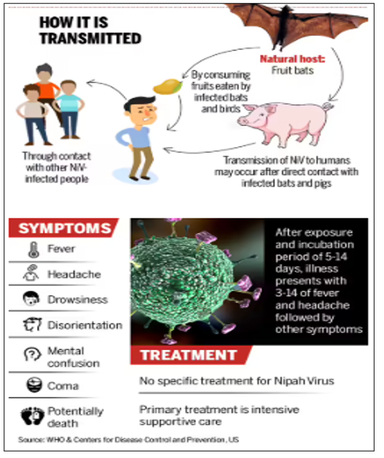 Monoclonal Antibodies (mAbs) for Nipah Disease