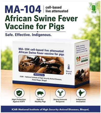 India Develops First Indigenous African Swine Fever Vaccine