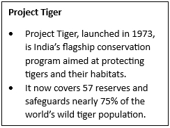 International Big Cat Alliance