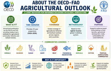 OECD-FAO Agricultural Outlook 2026-2035